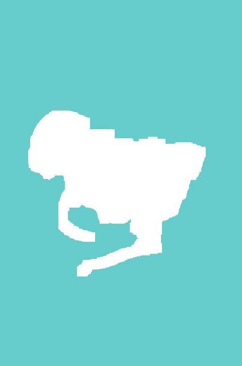 志井一