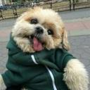 gffvbydxcvgg - @_Nick_Harmon_ - Twitter