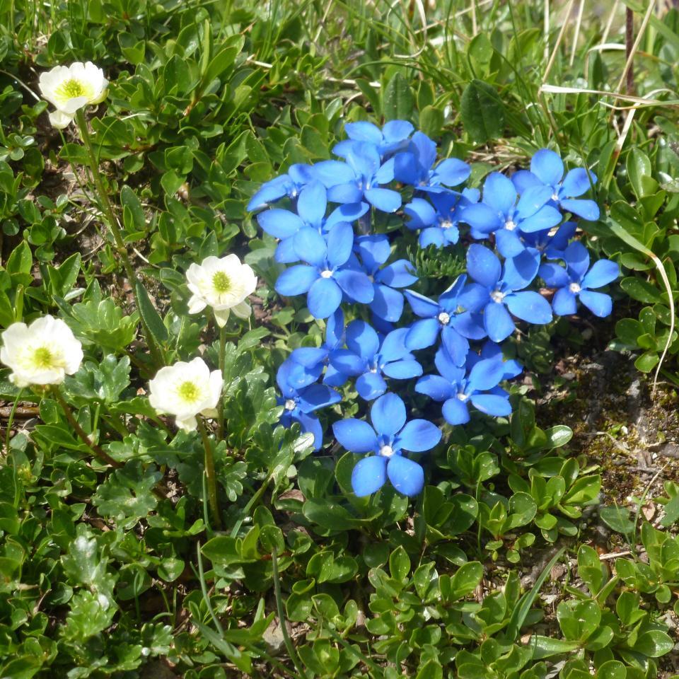 a_bueter's profile picture. 