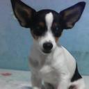 maria elena rincon s - @mariaelena964 - Twitter