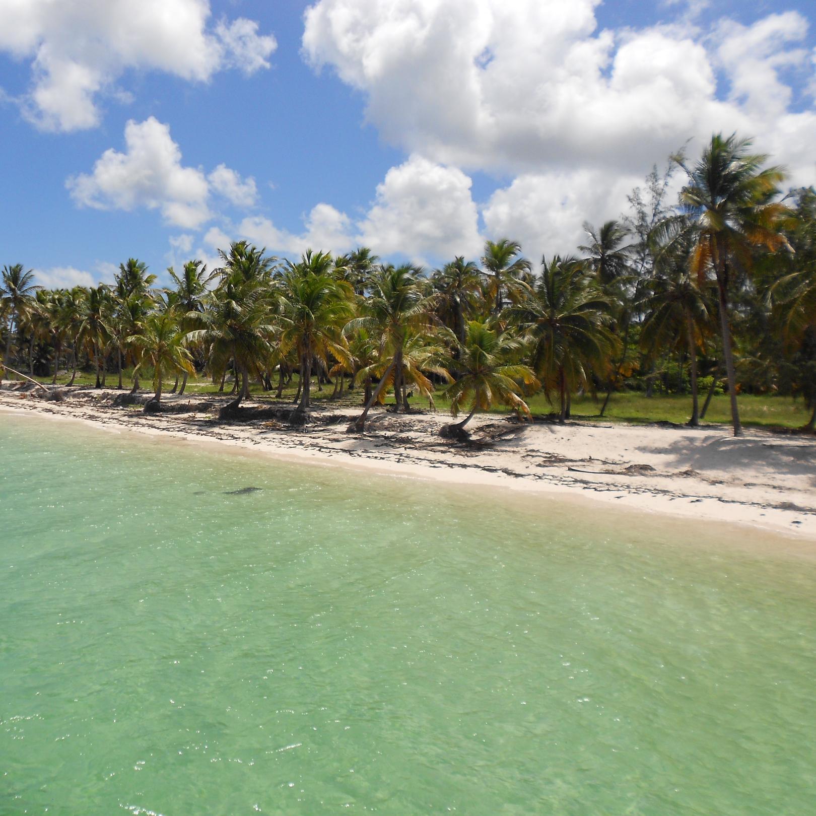 cheergirlz4eves's profile picture. 