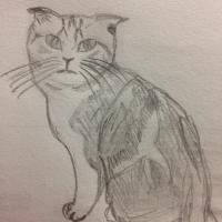 idek (@msparadocs) 's Twitter Profile Photo