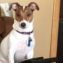 Toby Chambers - @guydaigoji12 - Twitter