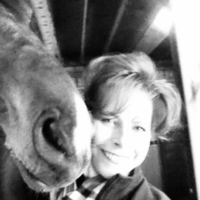 Director of Advancement, Alfred Friendly Press Partners