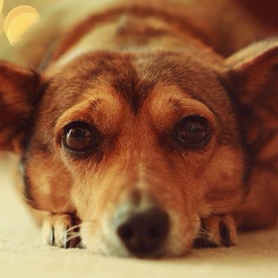 hbdGabian's profile picture. Follow your dreams! Never stop doing what you love!♛