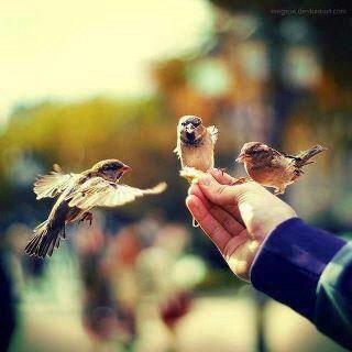 j'aime la vie ...!!♥♥