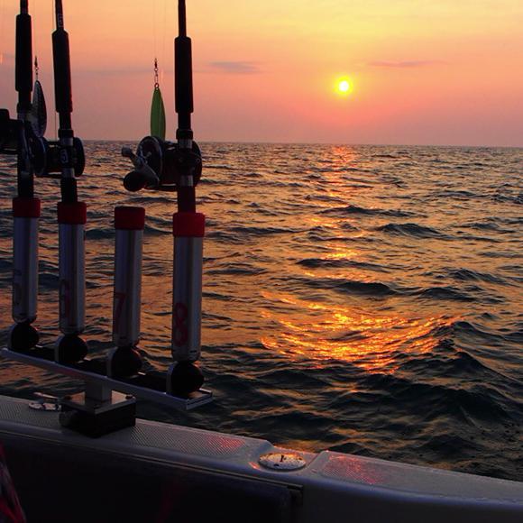 malham7's profile picture. father, teacher, worker for social justice and human rights