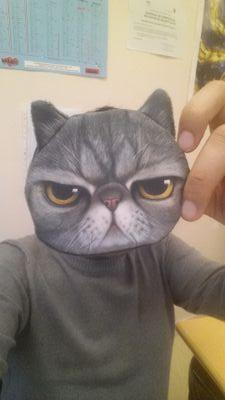 bicok's profile picture. Byakuraï