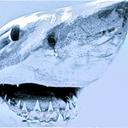 John Hurson - @chalkshark - Twitter