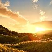 hannahhache's profile picture. 