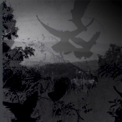 Jace9856's profile picture. 