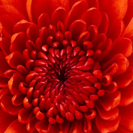 ahmet23u89's profile picture. 