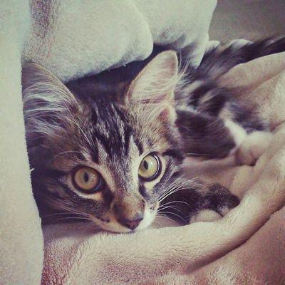 Cladvincent7777's profile picture. 