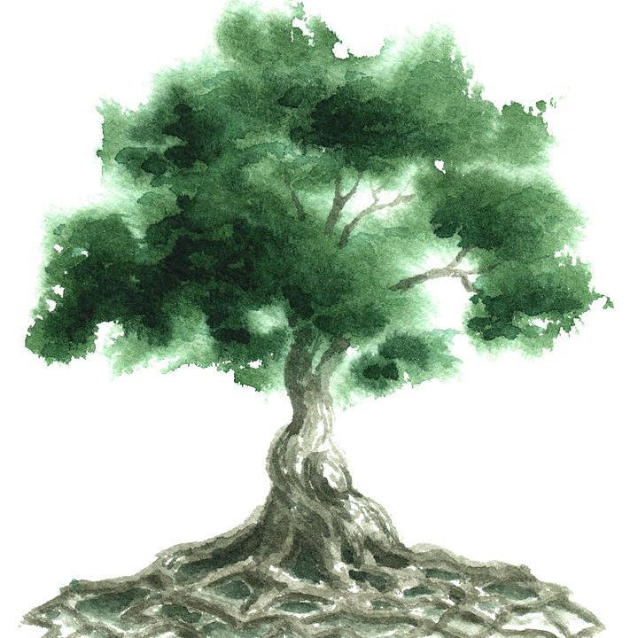 6Sonic's profile picture. Sharing things ...