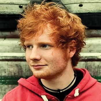 Ed Sheeran|Demi Lovato|1D|Niall Horan|Lana Del Rey|Sam Smith|Too many fandoms too little money