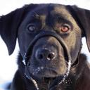 gary carlin - @1979gary - Twitter