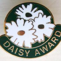 DAISY Foundation (@daisy4nurses) 's Twitter Profile