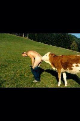 cannonball3388's profile picture. 