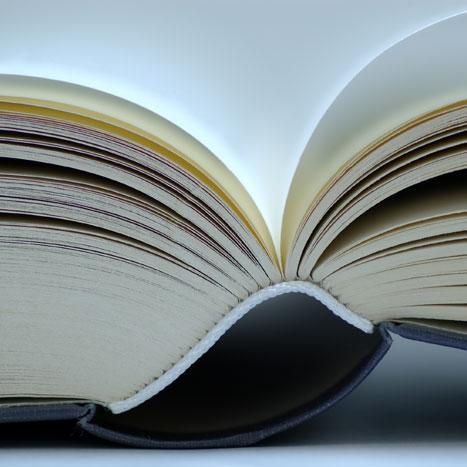 Freelance ENFR and ESFR translator. 7 years in the industry, and counting! Bookworm, music lover and amateur dancer. This is my professional account.
