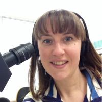 Erika Whiteford (@whitefordej) 's Twitter Profile