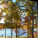 Nelda Perry - @perry_nelda - Twitter