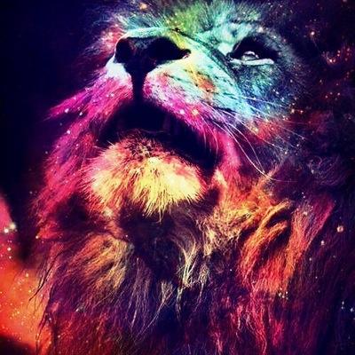 tNtTatts's profile picture. IG: bkballa23
IG: tntTatts