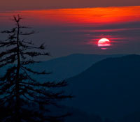 Newfound Gap Road (US 441) runs through the heart of the Great Smoky Mountains national park Between Cherokee NC and Gatlinburg TN.