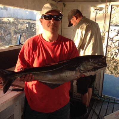 AifwaAlf's profile picture. 