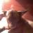 f419758f6971490's profile image