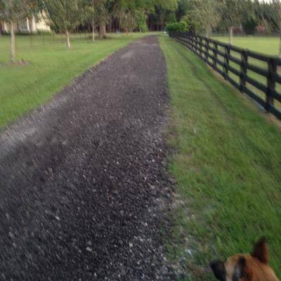 jmarkjoe's profile picture. 