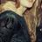 ElinMoa's profile image