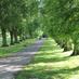 Harpenden Herts (@harpendenherts) Twitter profile photo Harpenden Herts (@harpendenherts) Twitter profile photo