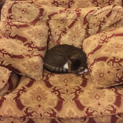 HowlAtMe54's profile picture. 