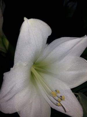 IScholz70's profile picture. 