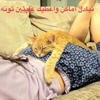 MAMA81478559's profile picture. 