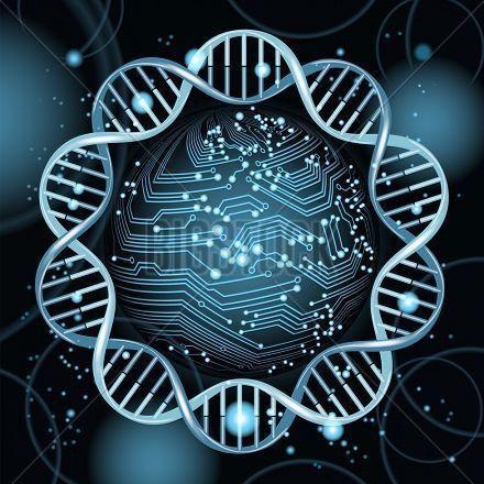 cancer researcher at Biobank-INEN @Cancer_Biobank @NeoplasicasPeru | Biochemistry and Molecular Biology, MSc.