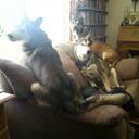 Mae Cameron - @tikawolf - Twitter