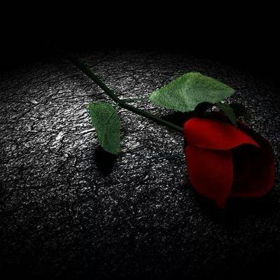 ‏‏‏‏‏اللهم صل على سيدنا محمد وعلى اله وصحبه وسلم♥