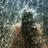 FERNAND82735495's profile image