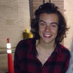 let's admire harry styles
