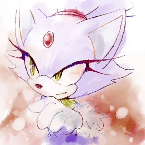『Blaze the Cat. 14 years of Age, and Guardian of the Sol Emeralds.』【You're still so naive, but I... I've always liked that about you....】[SonicRP/DetailedRP]