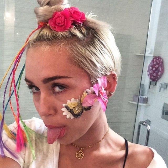 jileytraficante Profile Picture