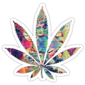 • Amsterdam •