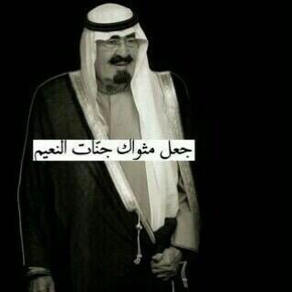 موطني الأتحاد