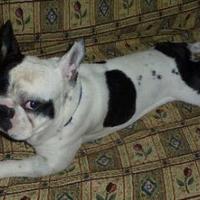 Miguel (@ma56gps) 's Twitter Profile