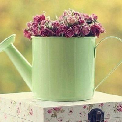 كلُّ مايُخطّ نزفُ قلمي ، وبوح فؤادي ، نادرًا ما أقتبس وحينها أرمز له بـ *