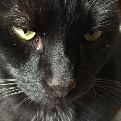 carinajolie28's profile picture. 