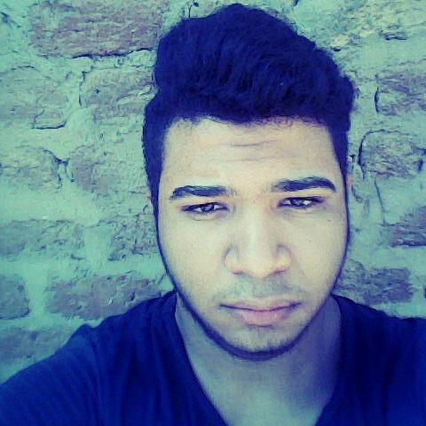 GlalaAhmed's profile picture. 