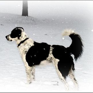 Reezio_03's profile picture. 