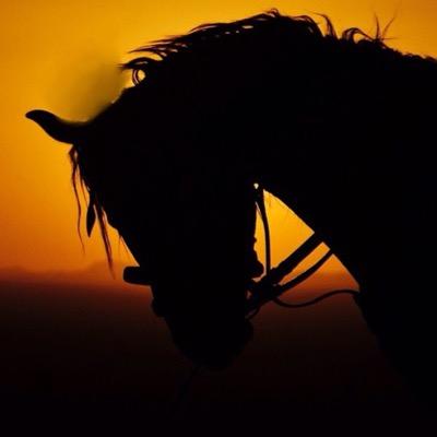 alrafa3's profile picture. لا تركننّ إلى الدّنيا وما فيها 
فالموت لا شكّ يفنينا ويفنيها..